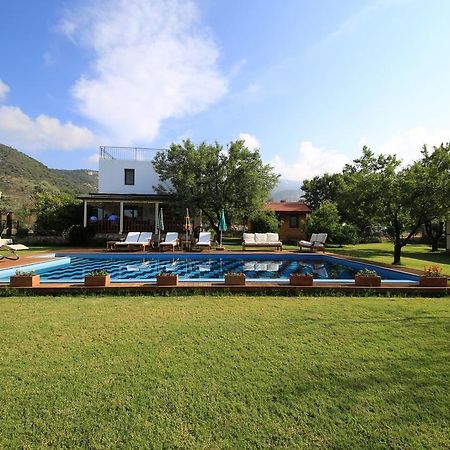 Bal Badem Bungalow Datça Eksteriør bilde