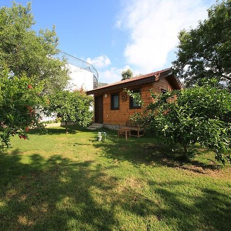 Bal Badem Bungalow Datça Eksteriør bilde