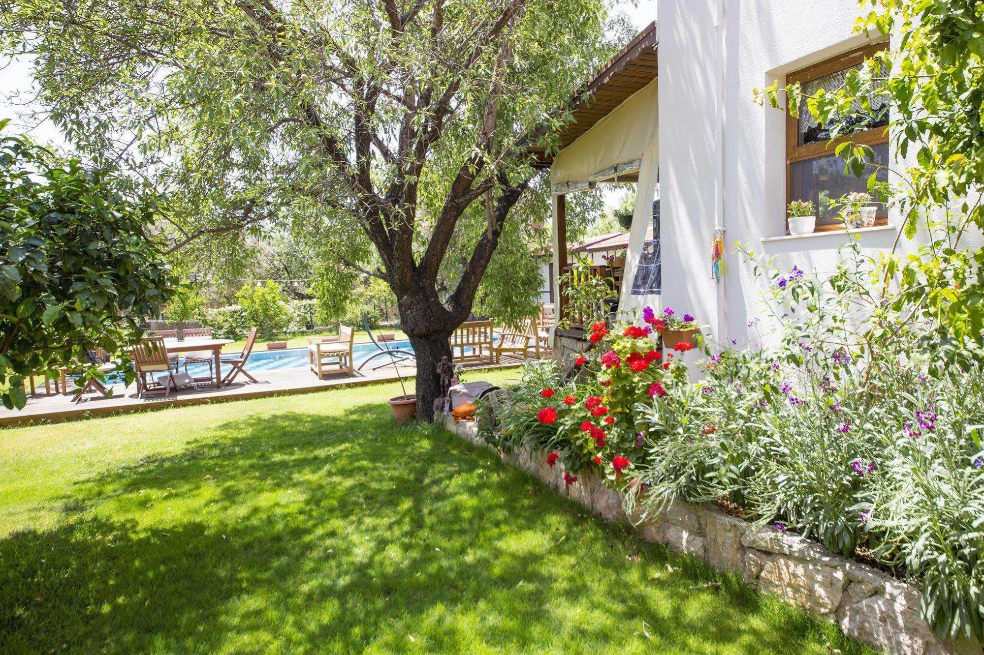Bal Badem Bungalow Datça Eksteriør bilde